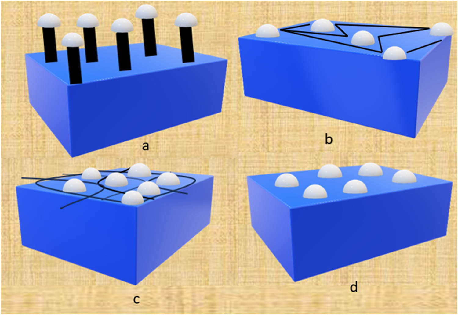 Figure 4
Different types of immobilization methods used in a biosensor: (a) Covalent bonding, (b) cross linking, (c) entrapment, and (d) physical adsorption.