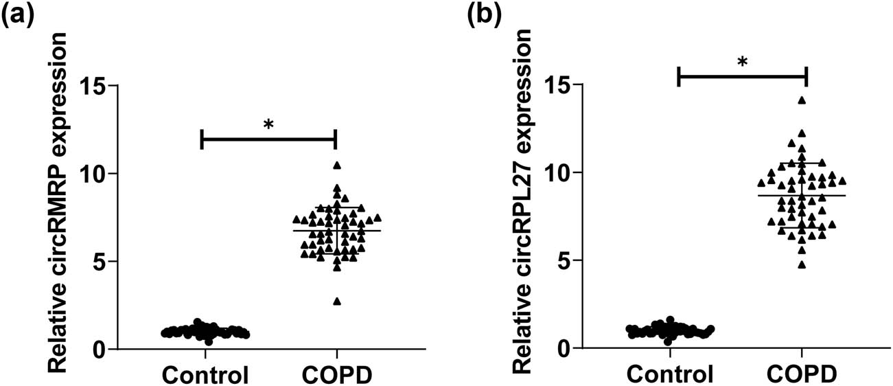 Figure 1 
                  Comparison of the expression of circRMRP and circRPL27 in COPD group and healthy control group (*P < 0.05). (a) RT-qPCR to detect the expression level of circRMRP in the serum of COPD patients and (b) RT-qPCR to detect the expression level of circRPL27 in the serum of COPD patients.
               