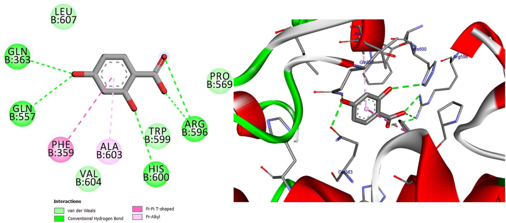 Figure 13 
                  Two- and three-dimensional protein/ligand interaction between 2,4-dihydroxybenzoic acid and arachidonate-5-LOX (ALOX5, PDB: 6n2w).
               