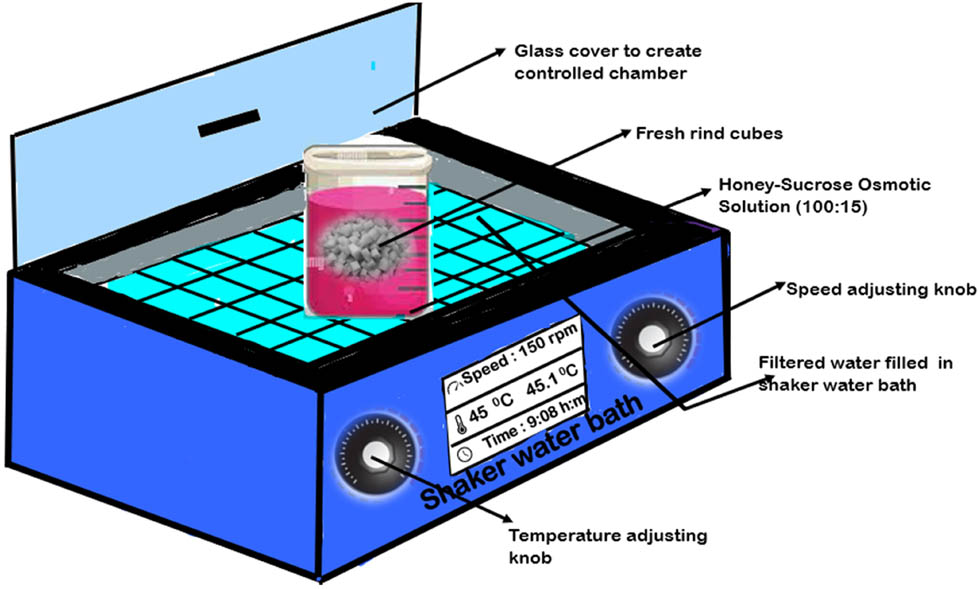 Figure 2
Experimental set-up for osmotic dehydration after subjecting fresh rind to different pre-treatments.
