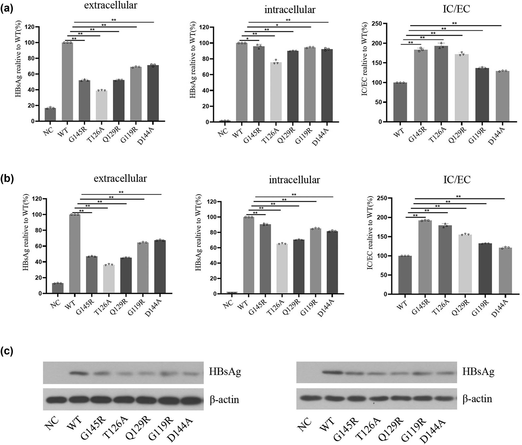 Teaser image from the article