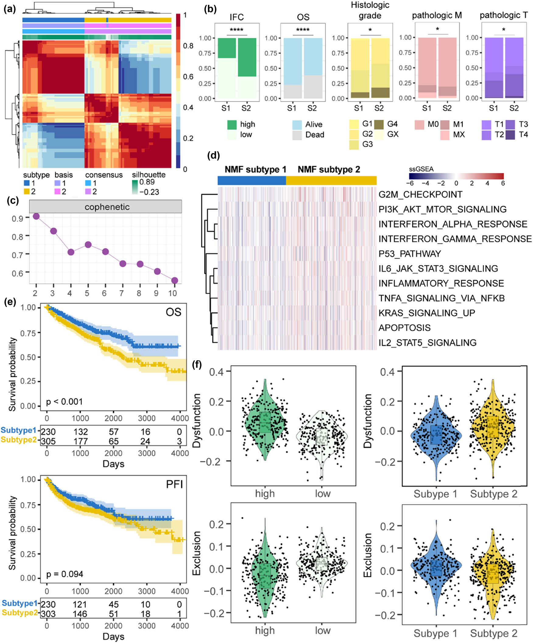 Figure 4
Identification and characterization of NMF-defined IFC subtypes. (a) Heatmap displays the results of NMF clustering (k = 2), which defined distinct IFC subtypes based on gene expression patterns. (b) The barplot illustrates the differences in clinical characteristics between the two IFC subtypes (Fisher’s exact test p < 0.05). (c) Cophenetic plot visualizing the quality of the NMF clustering results. (d) Heatmap shows the expression perturbations of functional gene sets between the two IFC subtypes. (e) KM curves demonstrate the differences in OS and PFI between the two IFC subtypes. (f) Violin plots display the differences in Exclusion score and Dysfunction score between the high and low IFC groups, as well as between the two IFC subtypes (Mann–Whitney U test p < 0.05).