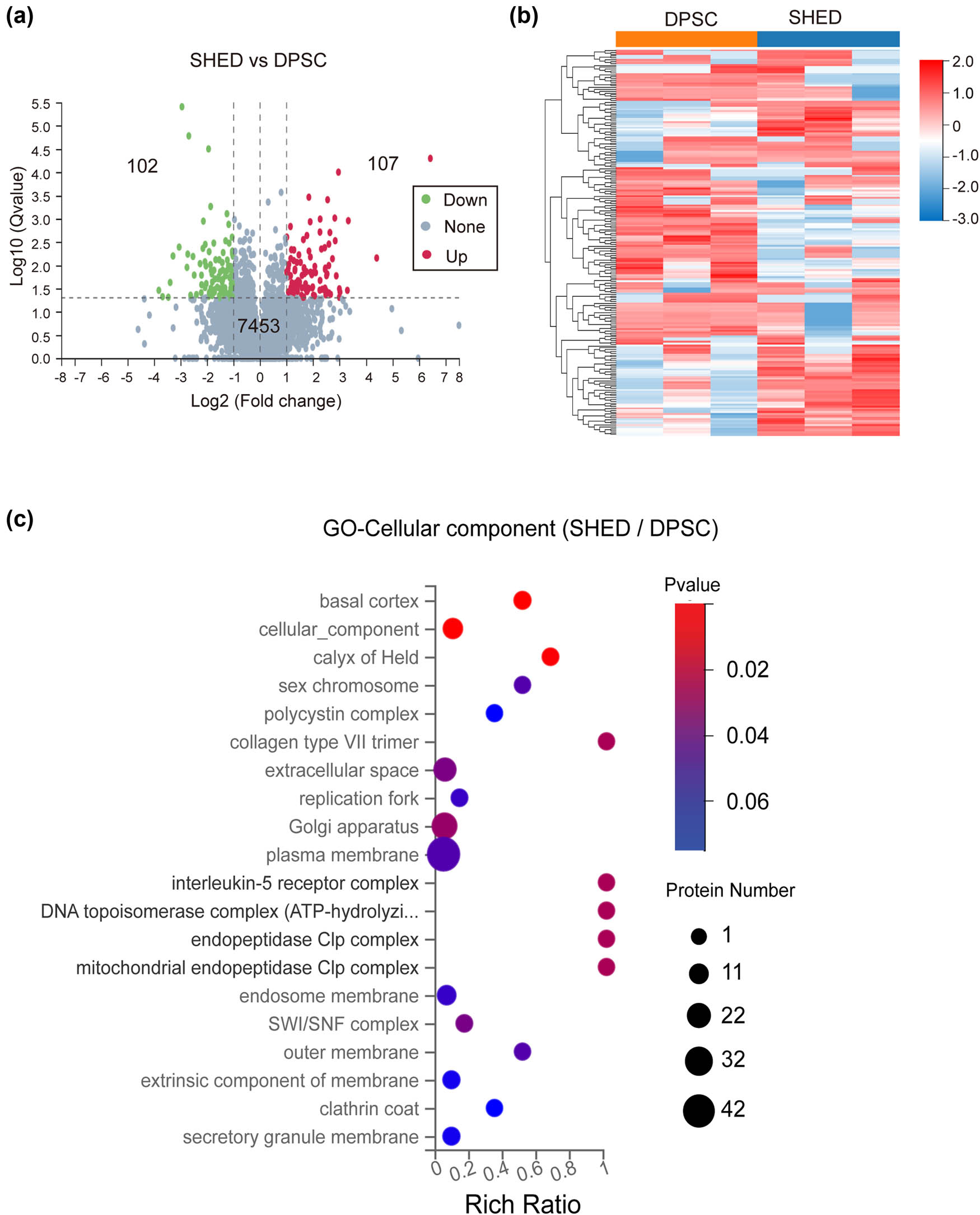 Teaser image from the article