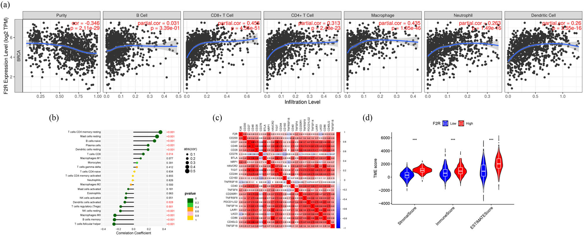 Figure 4
Potential involvement of F2R in immune regulation and infiltration within cancerous tissues. (a) By utilizing the online TIMER tool, correlation analysis was conducted between F2R expression levels and diverse immune cells in BC tissues. (b) CIBERSORT was employed to assess the correlation between F2R expression and 22 immune cell types across 680 samples of BC. (c) Examination of the correlation between F2R expression and immune checkpoint genes was conducted. (d) The expression levels of F2R in BC were categorized into low and high groups, followed by the analysis of immune infiltration using Stromalscores and Immunocore in both groups. ***p < 0.001.