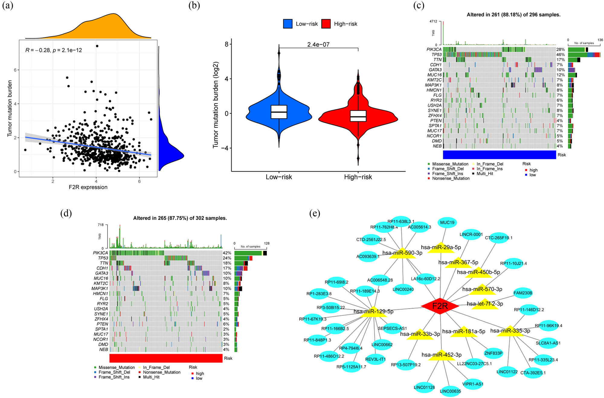 Figure 5
Association between F2R expression and TMB. (a) Elevated F2R expression in BC correlates with decreased TMB. (b) Elevated F2R expression in BC is correlated with decreased TMB. (c) and (d) Waterfall plot illustrating gene mutations in low and high F2R expression groups in BC samples. (e) Identification of upstream miRNAs and lncRNAs regulating F2R expression and construction of the ceRNA network diagram.