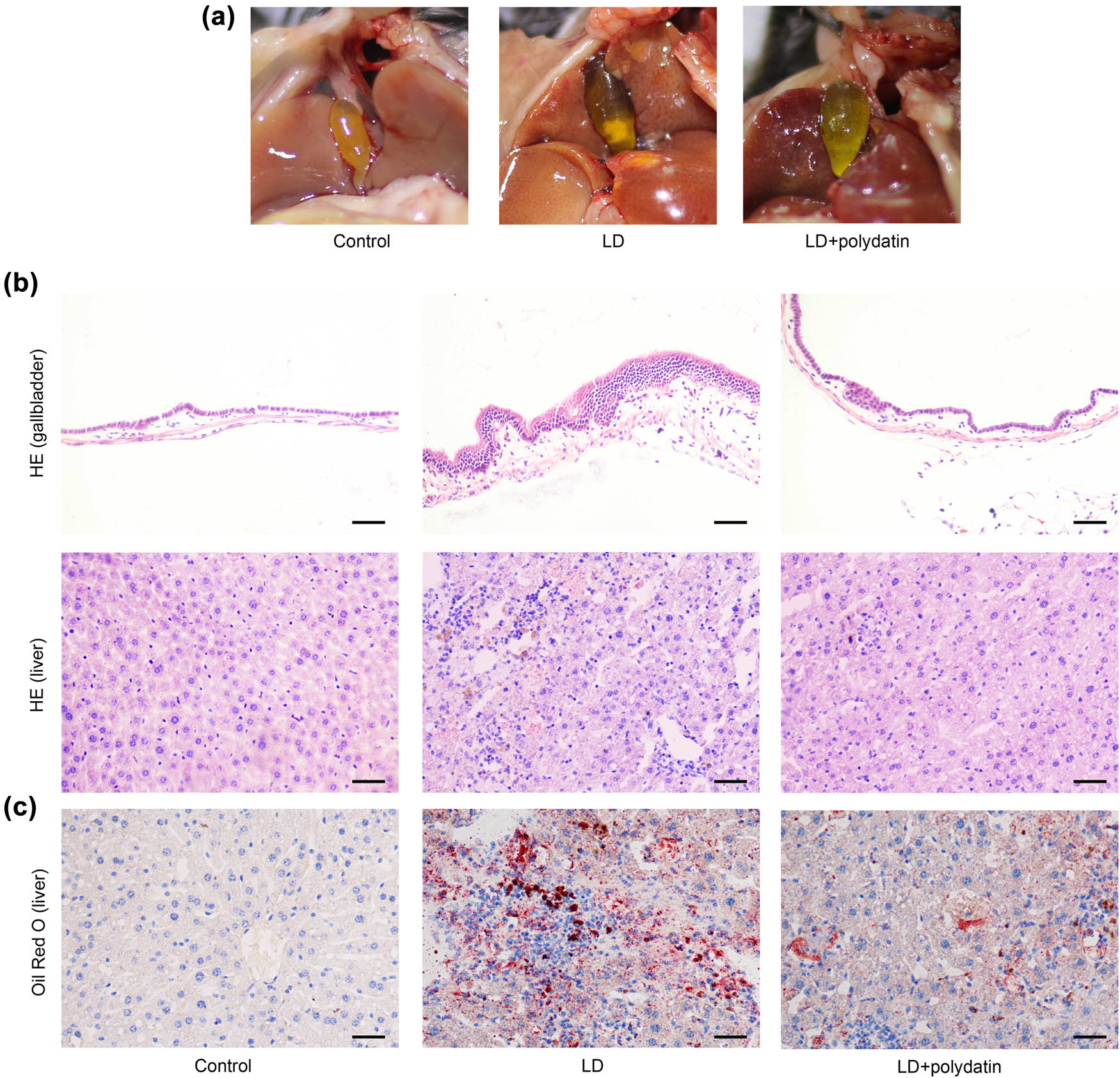 Teaser image from the article