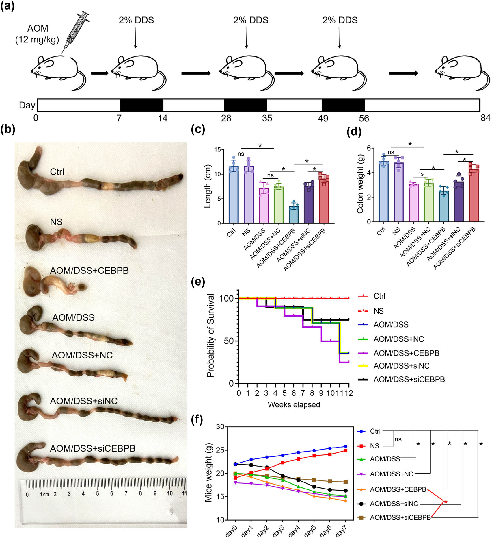 Teaser image from the article