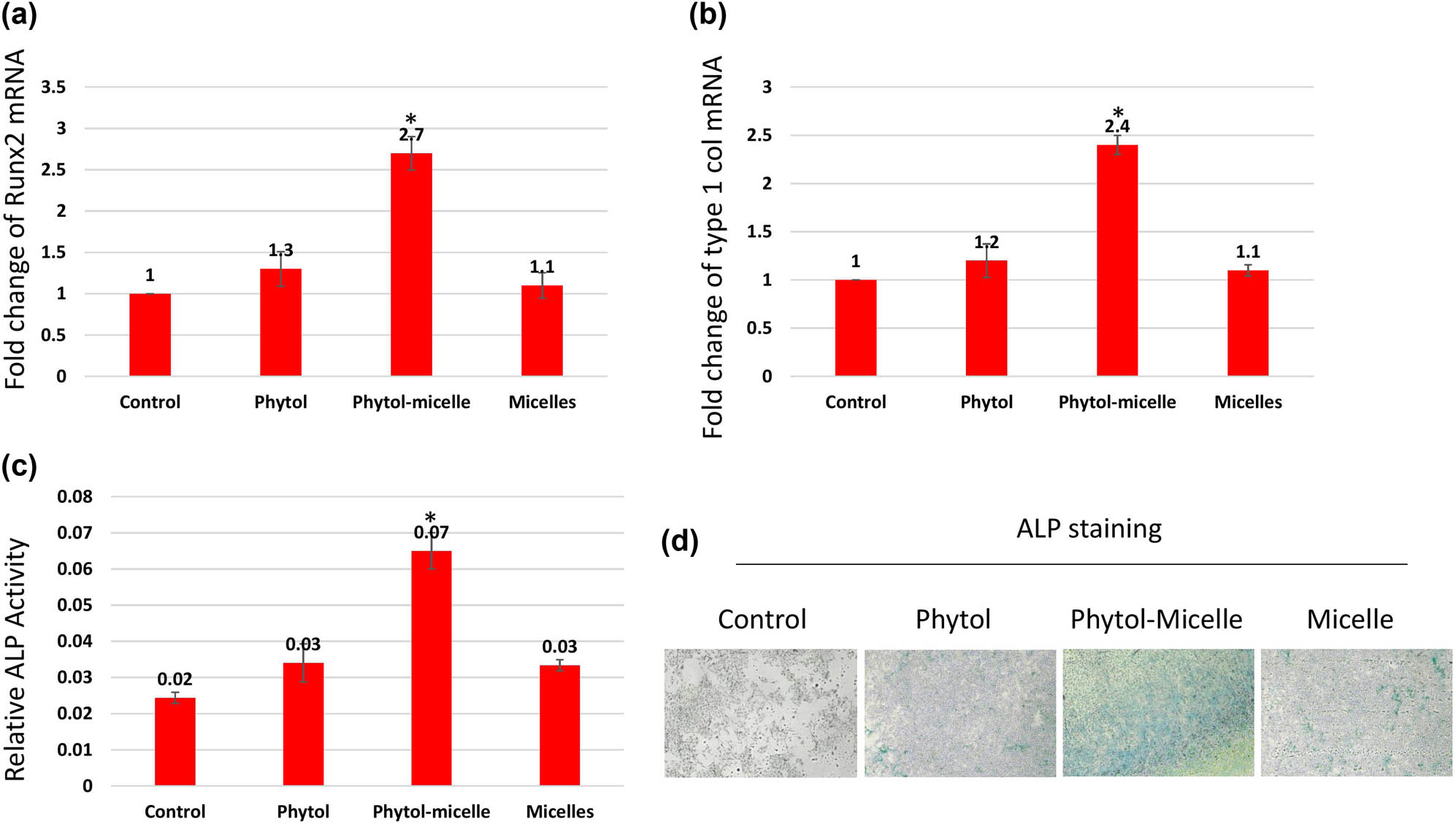 Figure 3 
                  Molecular mechanisms underlying phytol-micelles effects on osteoblast differentiation. MG63 cells treated with 25 μg phytol-micelles in an osteogenic medium for 7 days showed increased mRNA expression of Runx2 (a) and type 1 collagen (b), along with elevated ALP activity (c) and ALP staining (d). * indicates a significant increase.