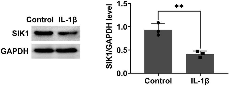 Teaser image from the article