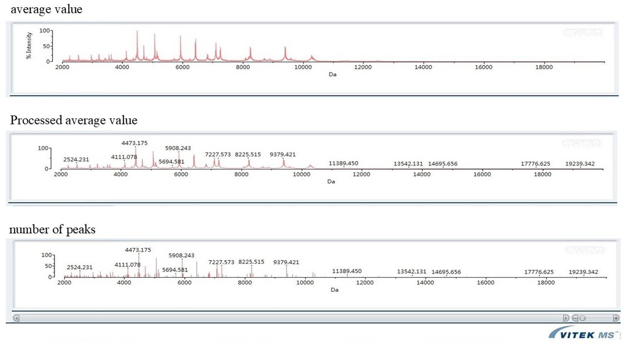Figure 4 
               Identification of N. gonorrhoeae and results of mass spectrometry identification.