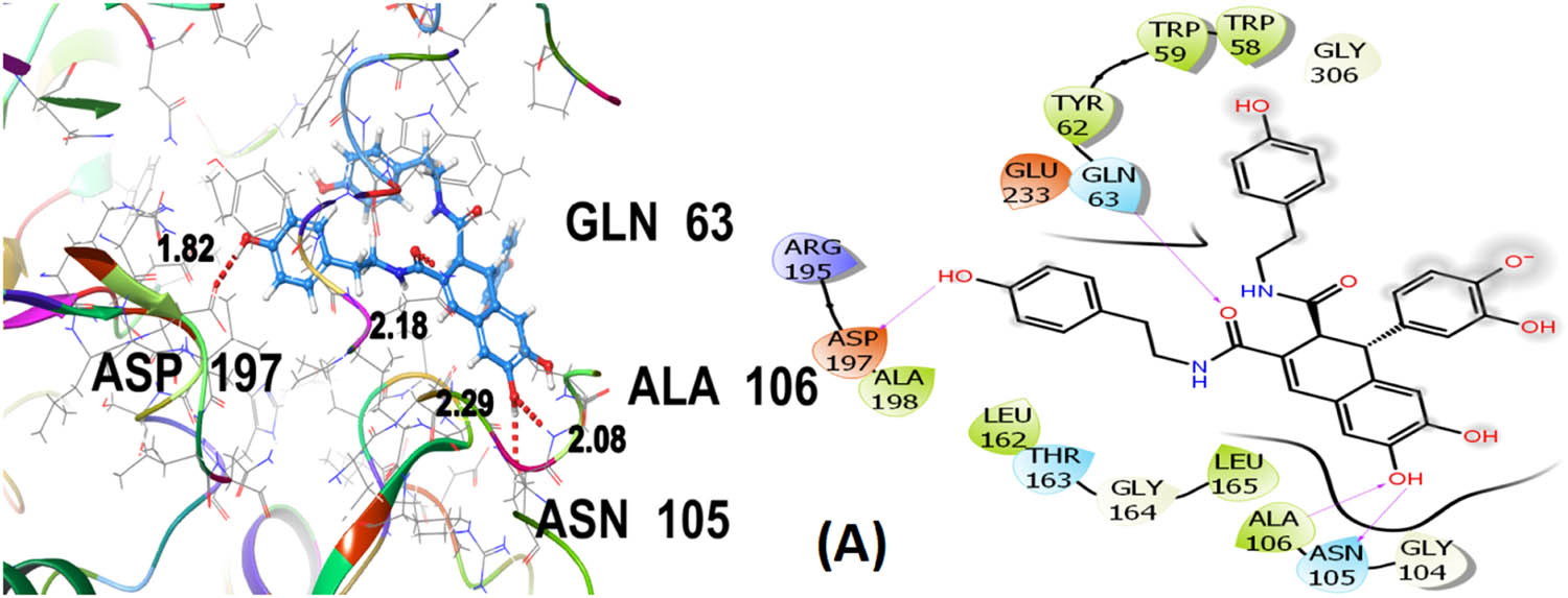Figure 8
3D and 2D representation of cannabisin B (A) with α-amylase (PDB ID: 4GQR).