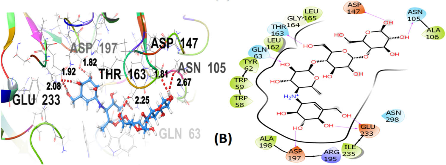 Figure 9
3D and 2D representation of acarbose (B) with α-amylase (PDB ID: 4GQR).
