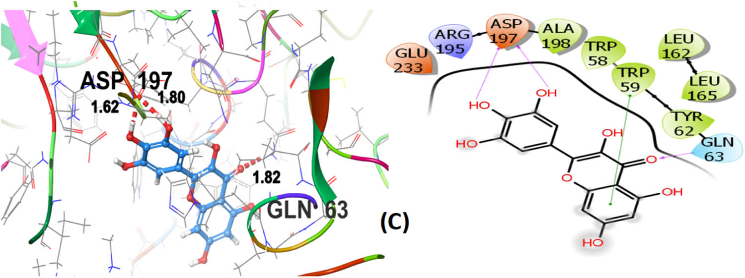 Figure 10
3D and 2D representation of co-crystallized ligand (C) with α-amylase (PDB ID: 4GQR).