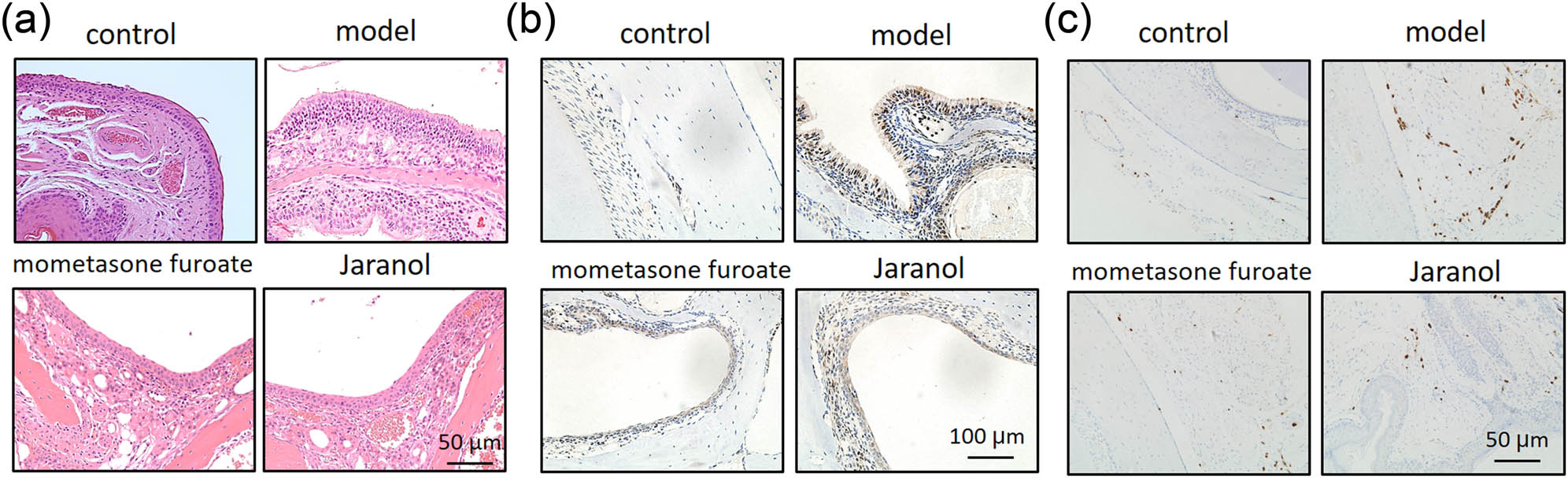 Teaser image from the article