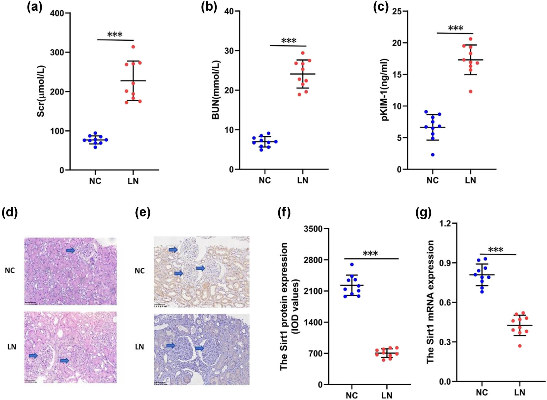 Teaser image from the article