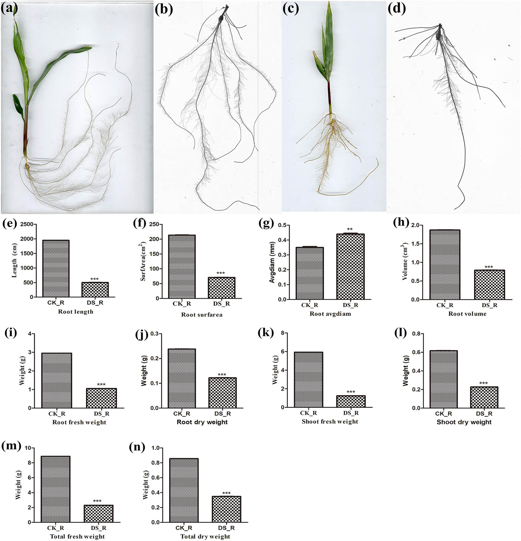 Teaser image from the article