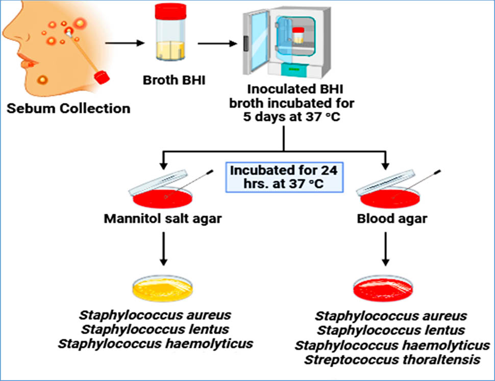 Teaser image from the article