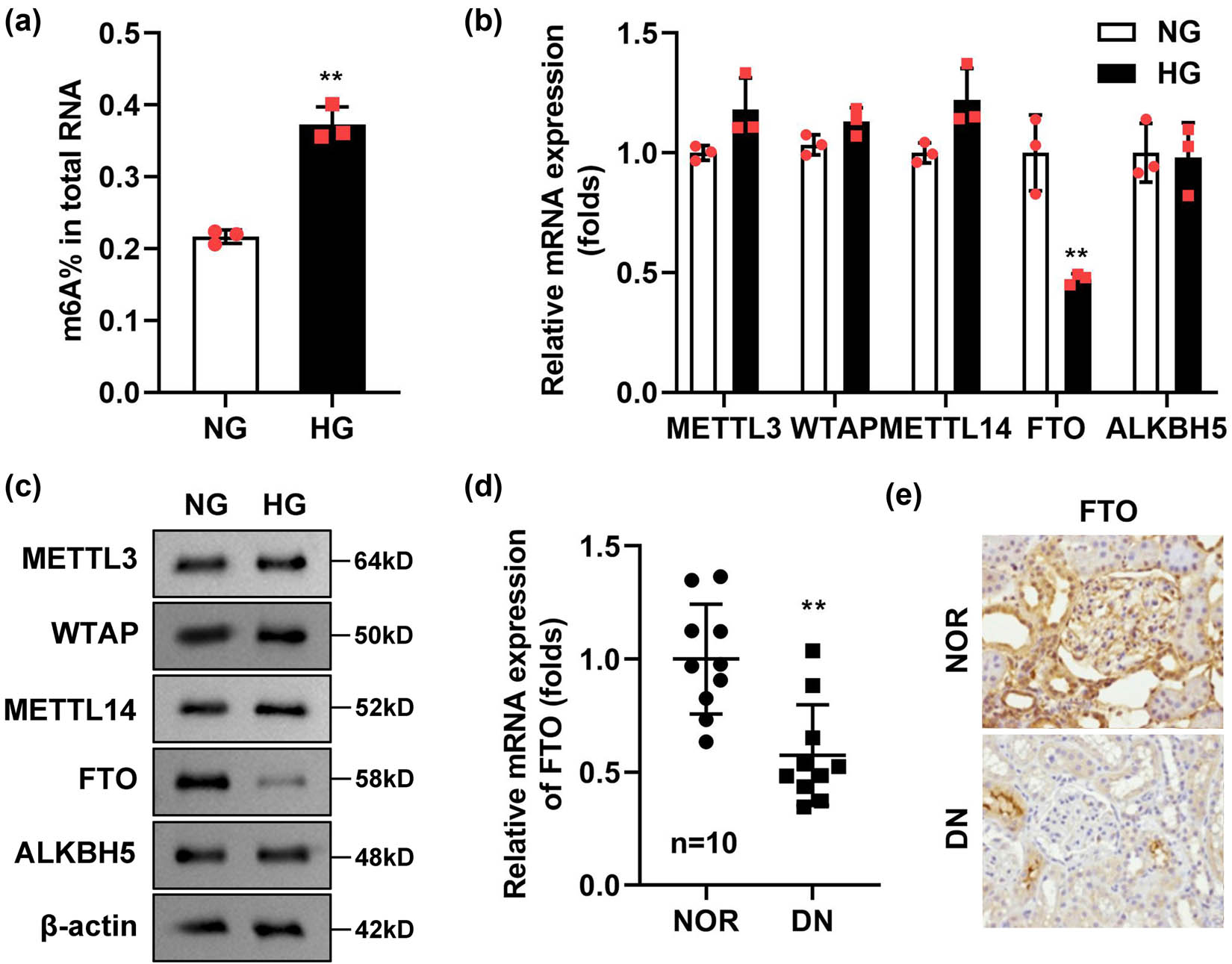 Teaser image from the article