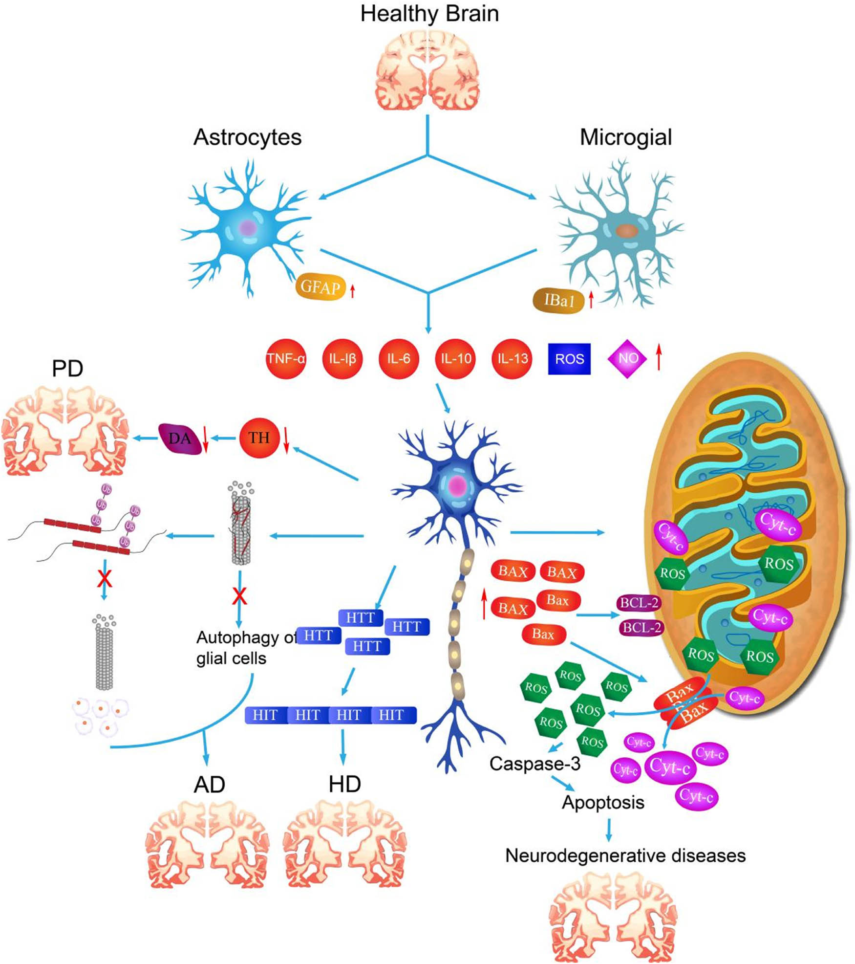 Teaser image from the article