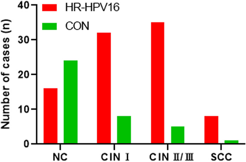 Teaser image from the article
