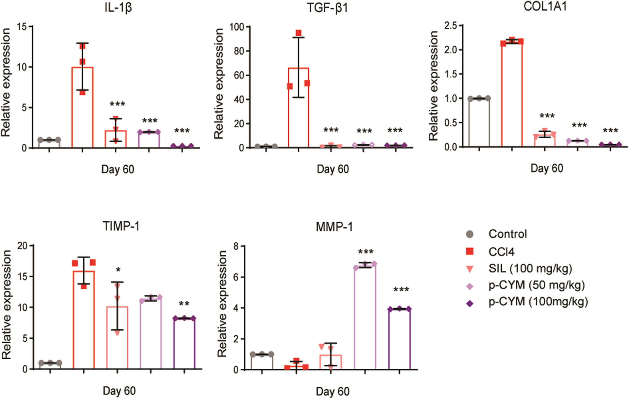 Teaser image from the article