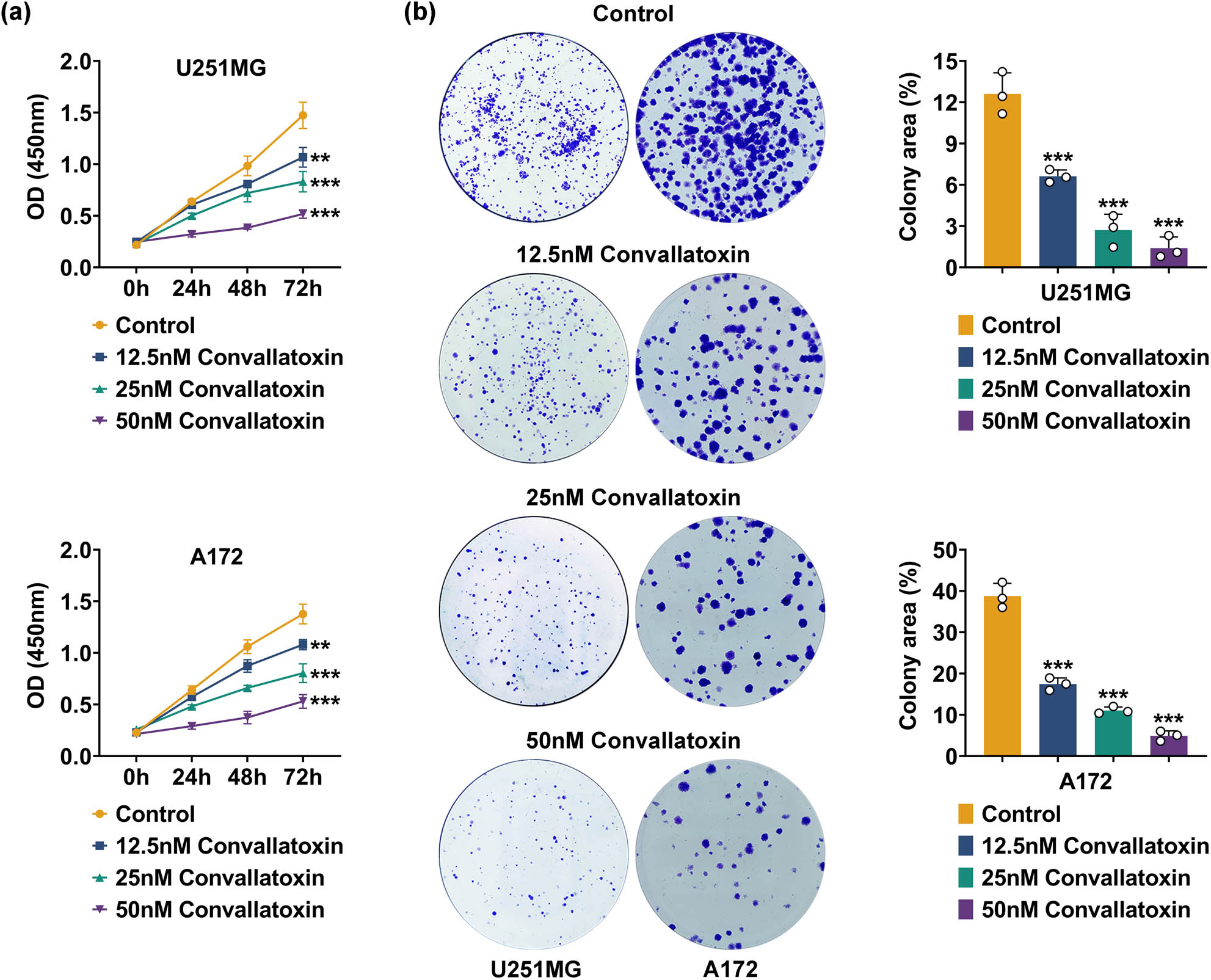 Teaser image from the article