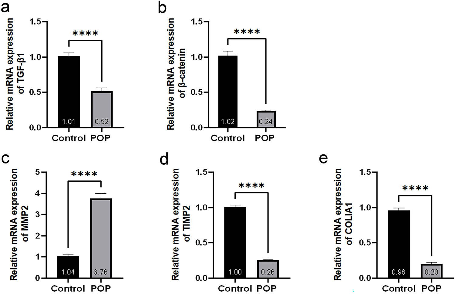 Figure 5
(a)–(e) Statistical results of TGF-β1, β-catenin, MMP2, TIMP2, and COL1A1 mRNA expression levels in the anterior vaginal wall tissues of control and POP groups.