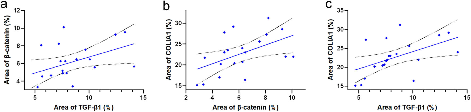 Figure 7
(a) Correlation test between the immunohistochemical staining results of TGF-β1 and β-catenin, r = 0.46, p < 0.05. (b) Correlation test between the immunohistochemical staining results of COL1A1 and β-catenin, r = 0.50, p < 0.05. (c) Correlation test between COL1A1 and TGF-β1 and immunohistochemical staining results, r = 0.62, p < 0.05.