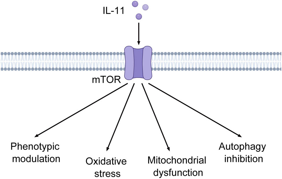 Teaser image from the article