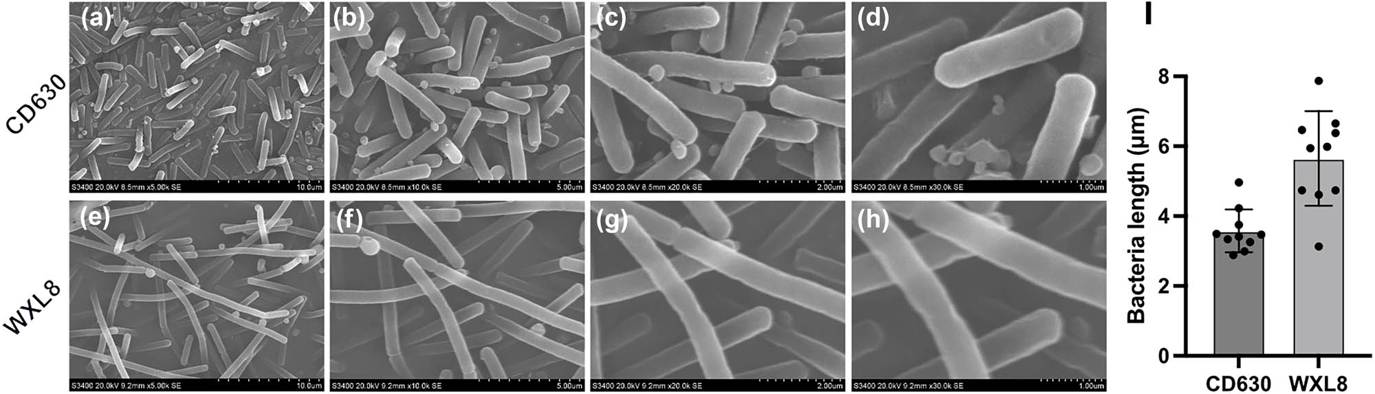 Teaser image from the article