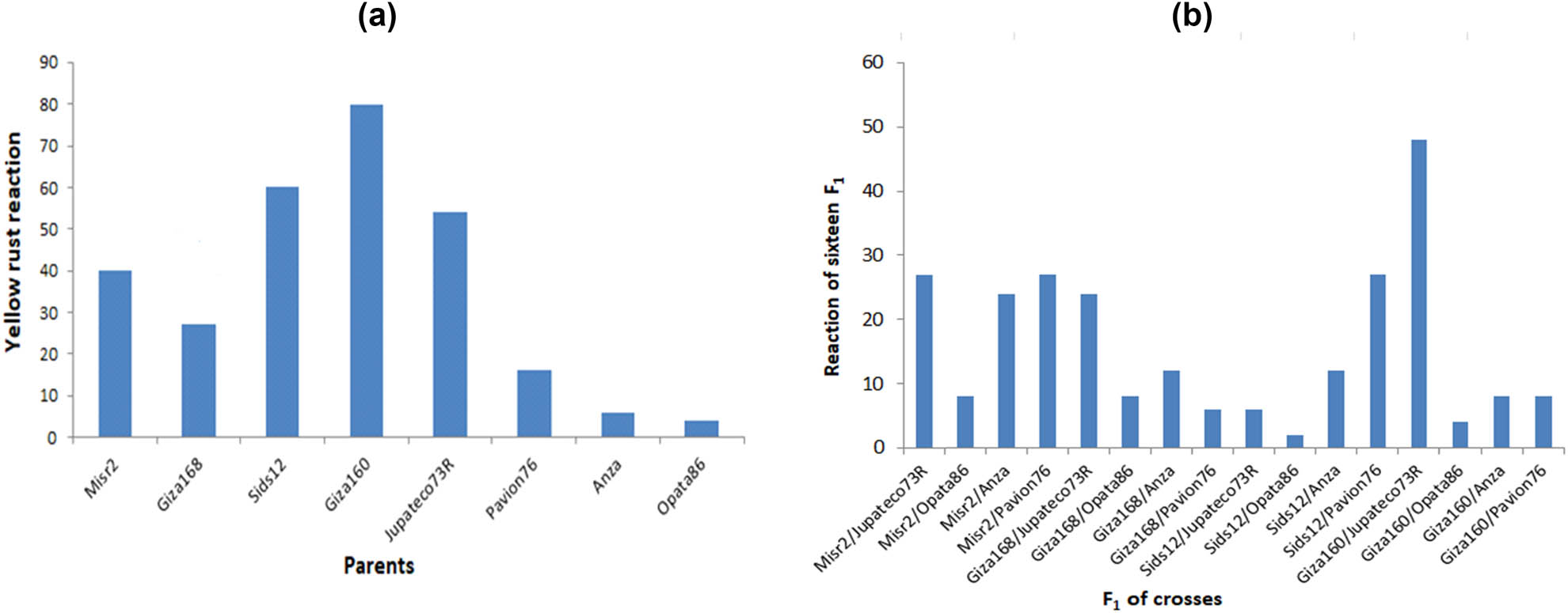 Teaser image from the article