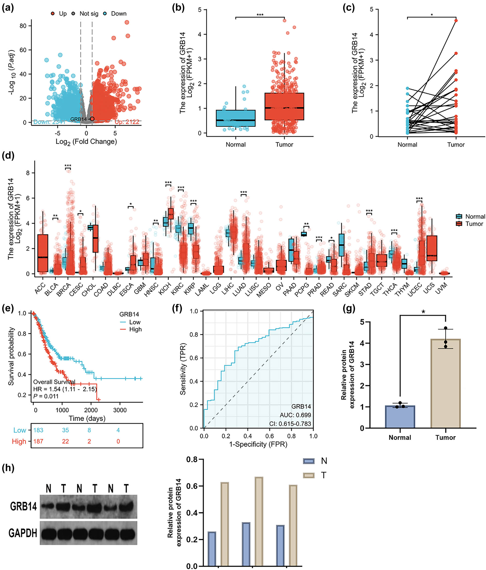 Teaser image from the article