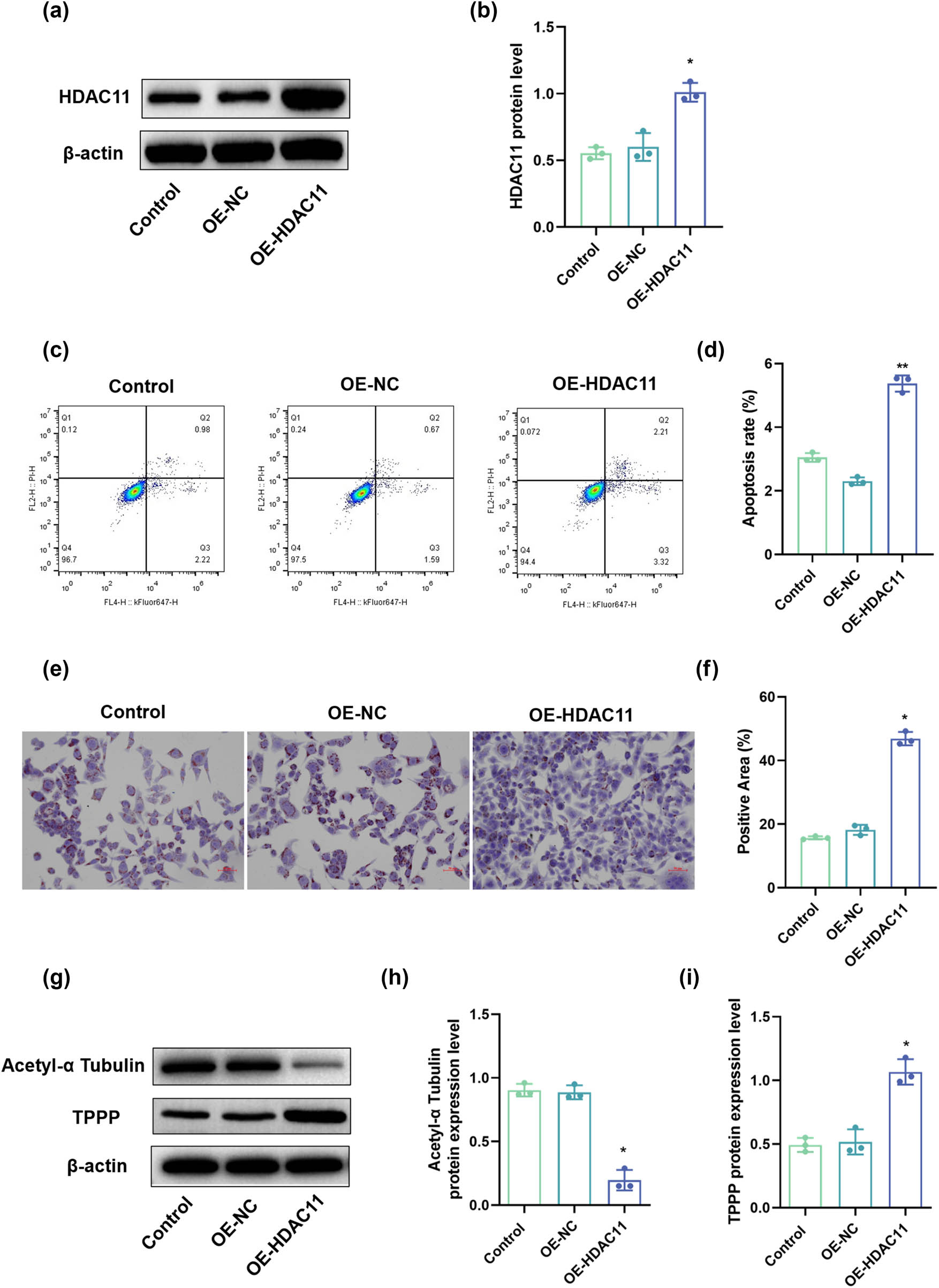 Teaser image from the article