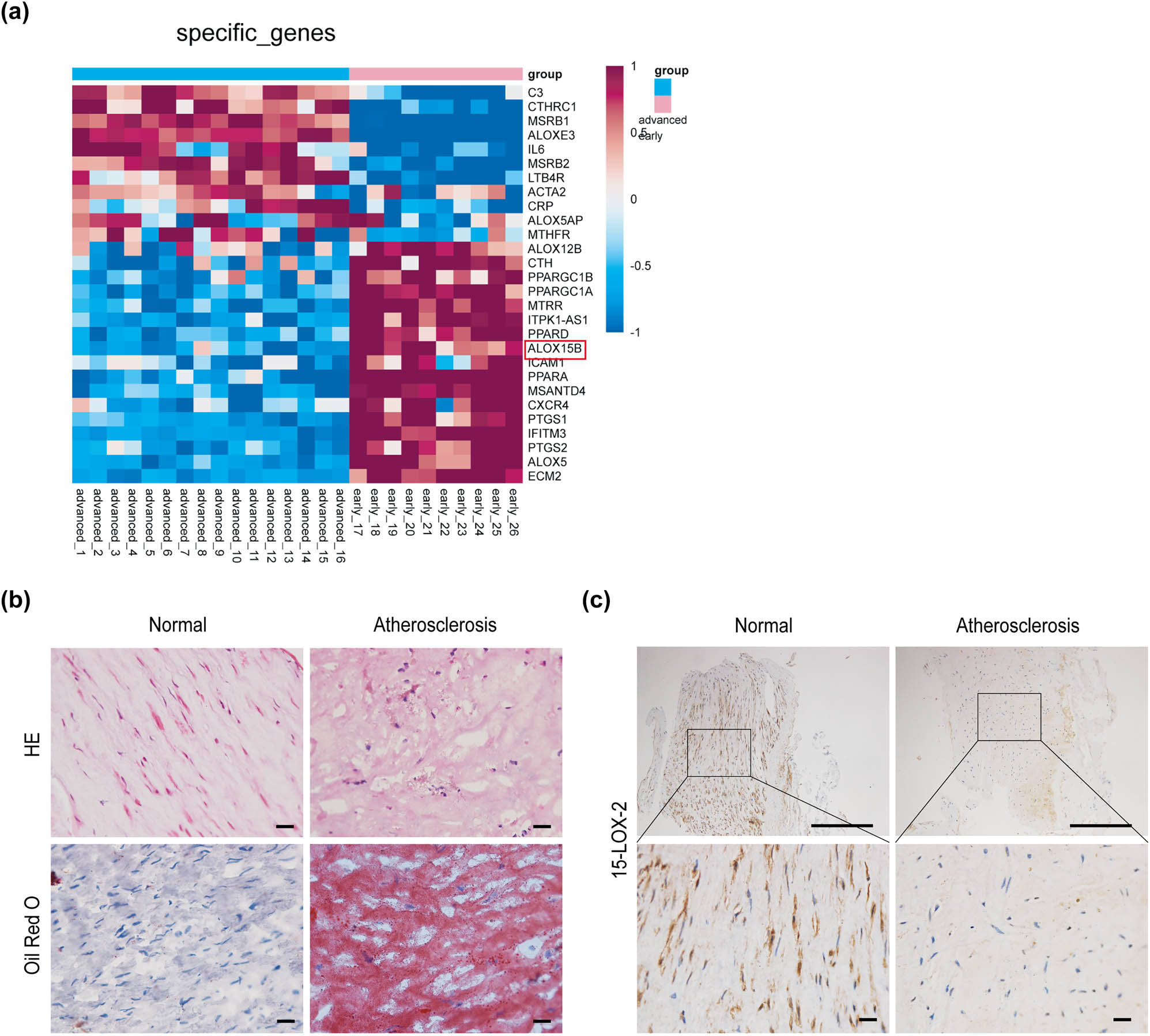 Teaser image from the article