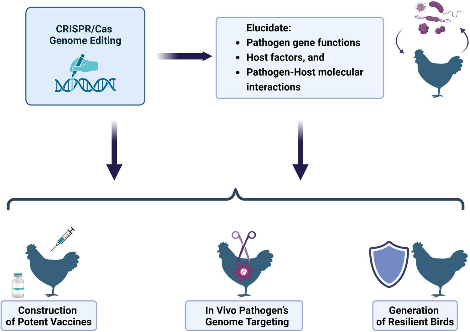 Teaser image from the article