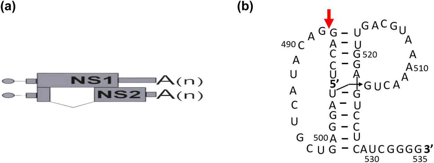 Teaser image from the article
