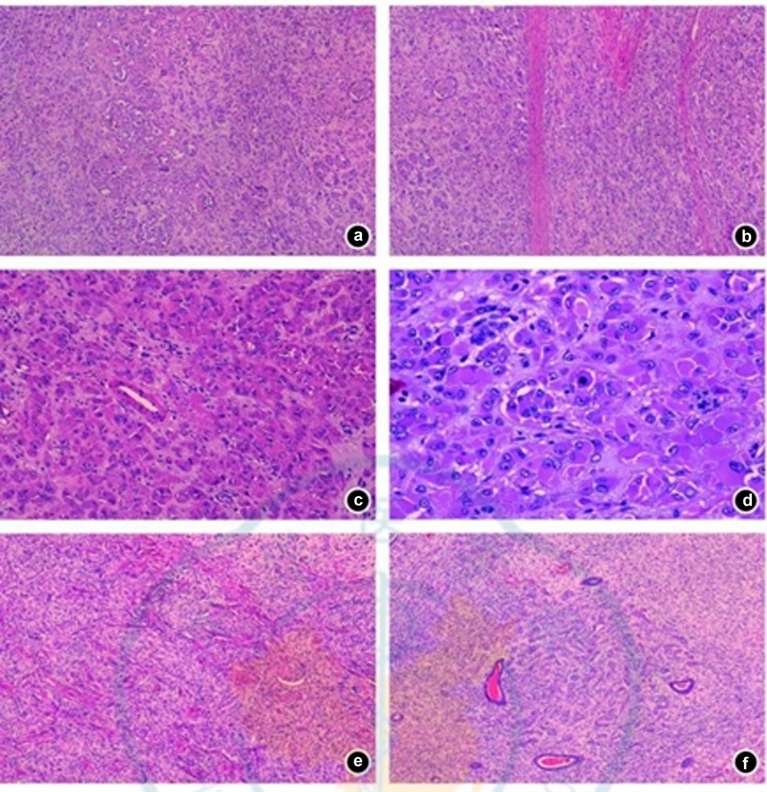 Teaser image from the article