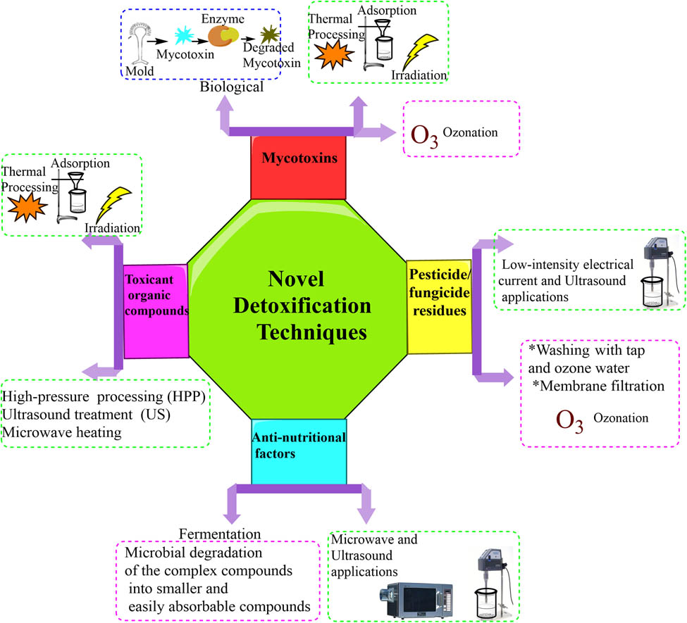 Teaser image from the article