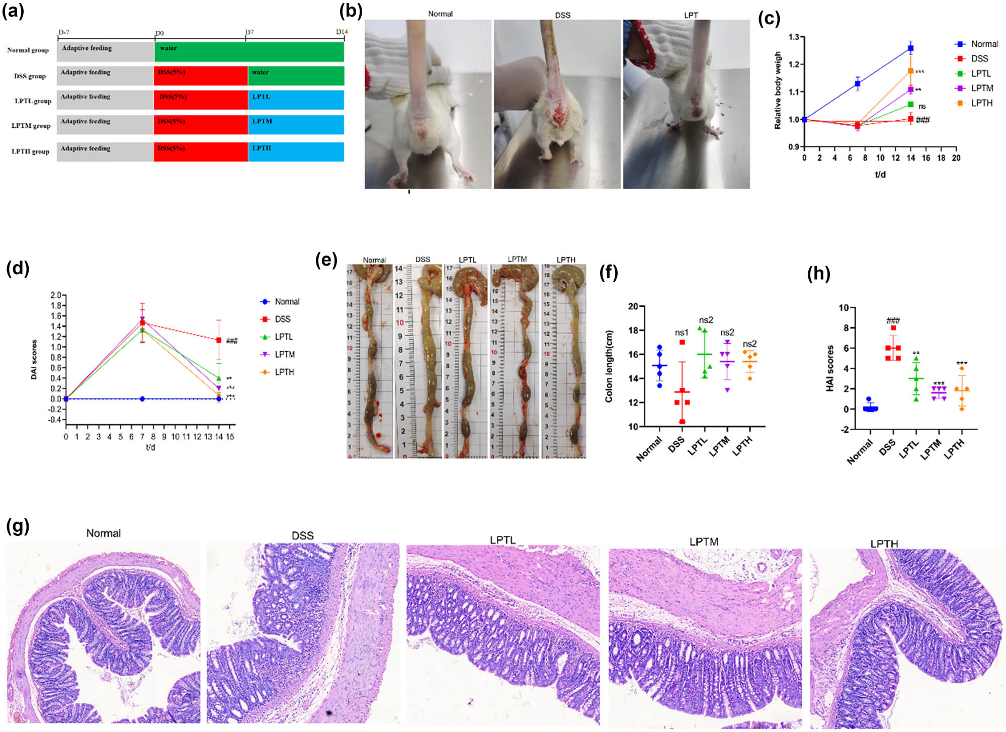 Teaser image from the article