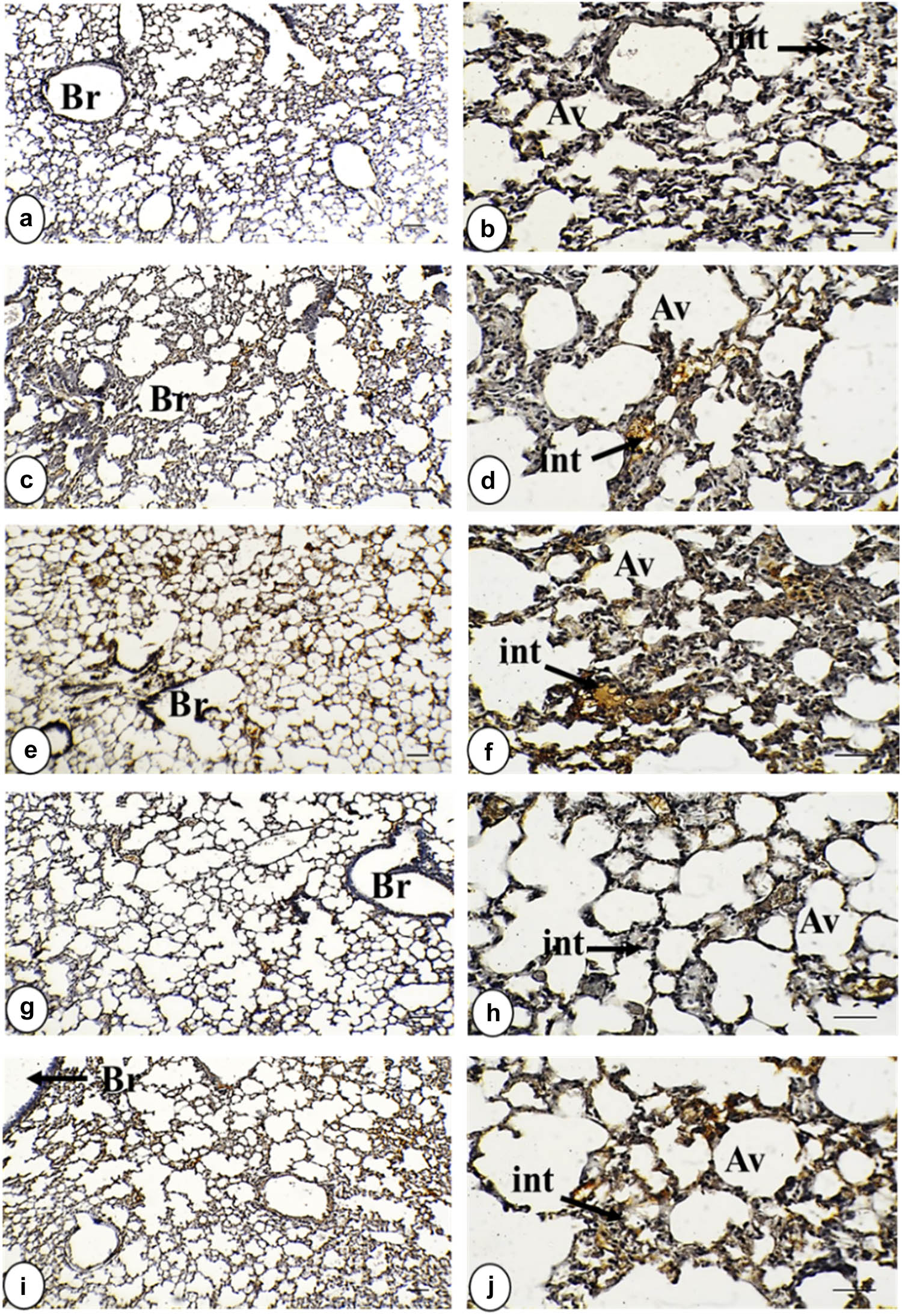 Teaser image from the article