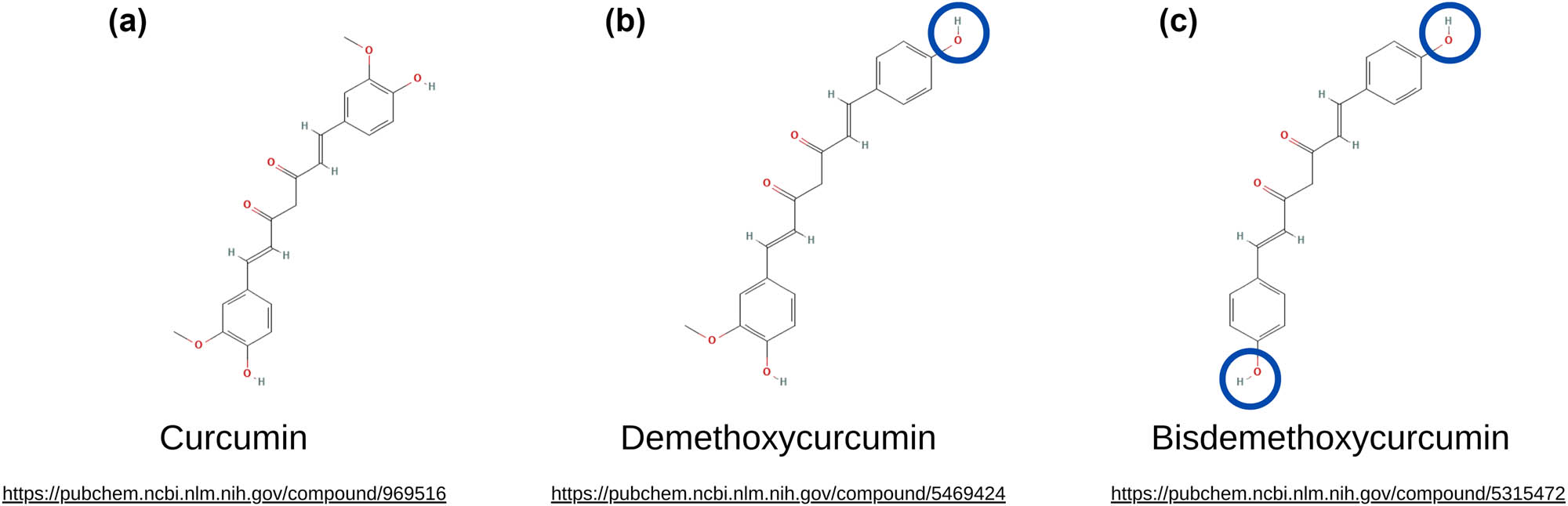 Teaser image from the article