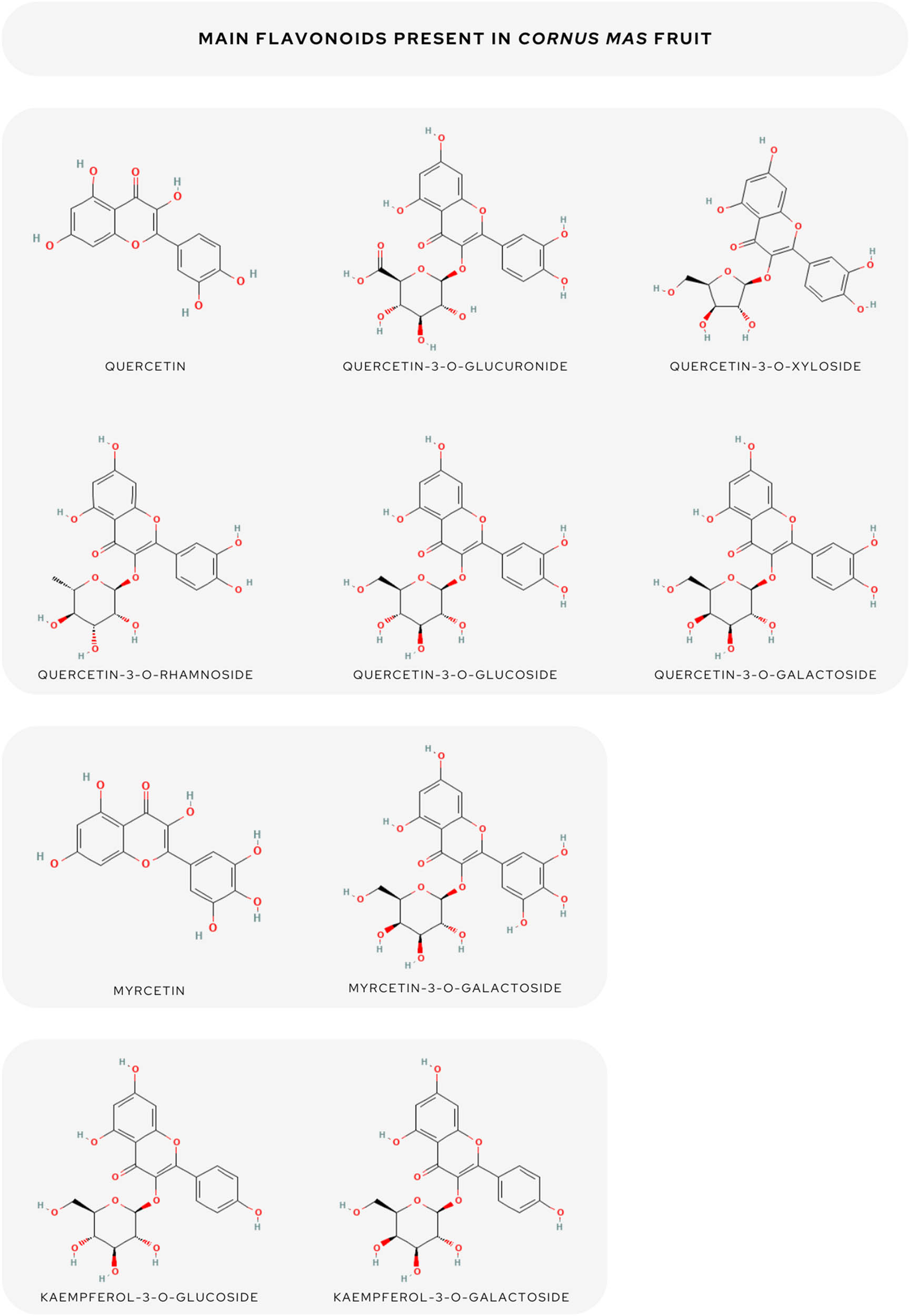 Teaser image from the article
