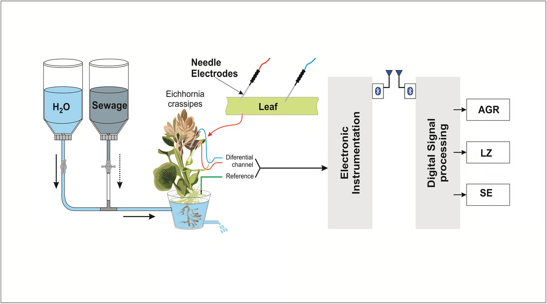 Figure 2 
               Experimental setup.