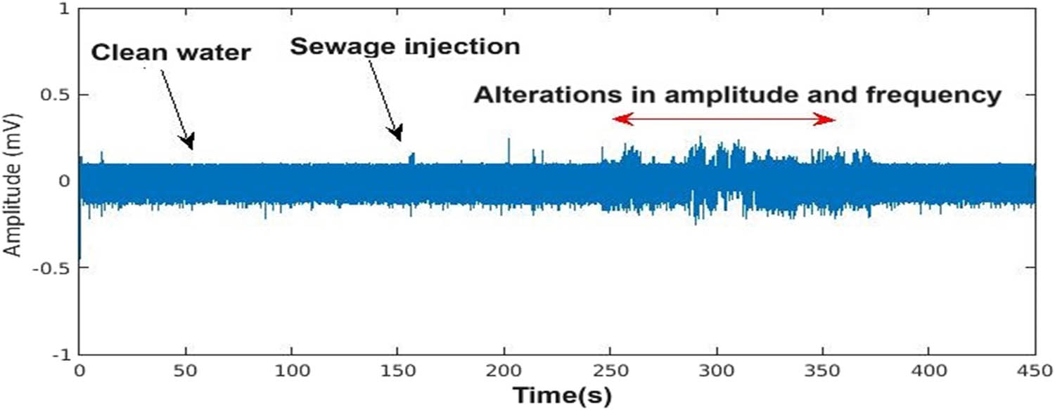 Figure 3 
                  Time-domain variations in the bioelectrical signal.
