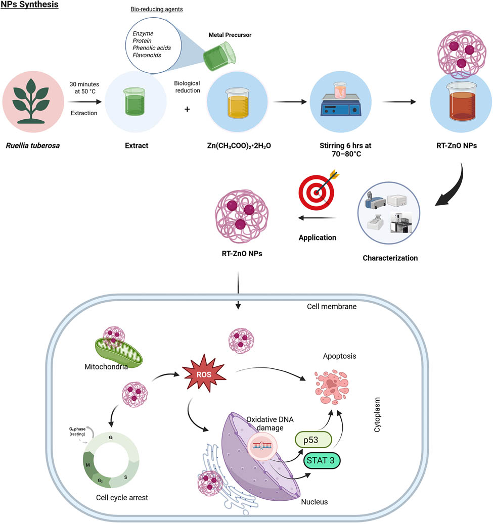 Teaser image from the article