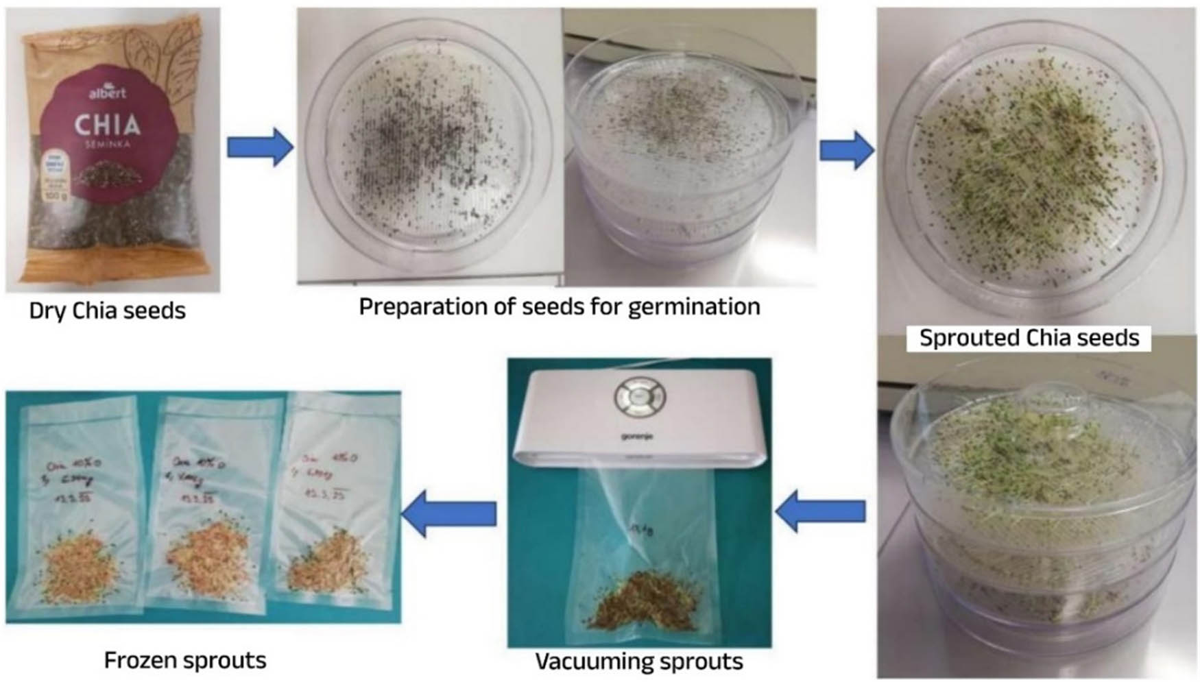 Teaser image from the article