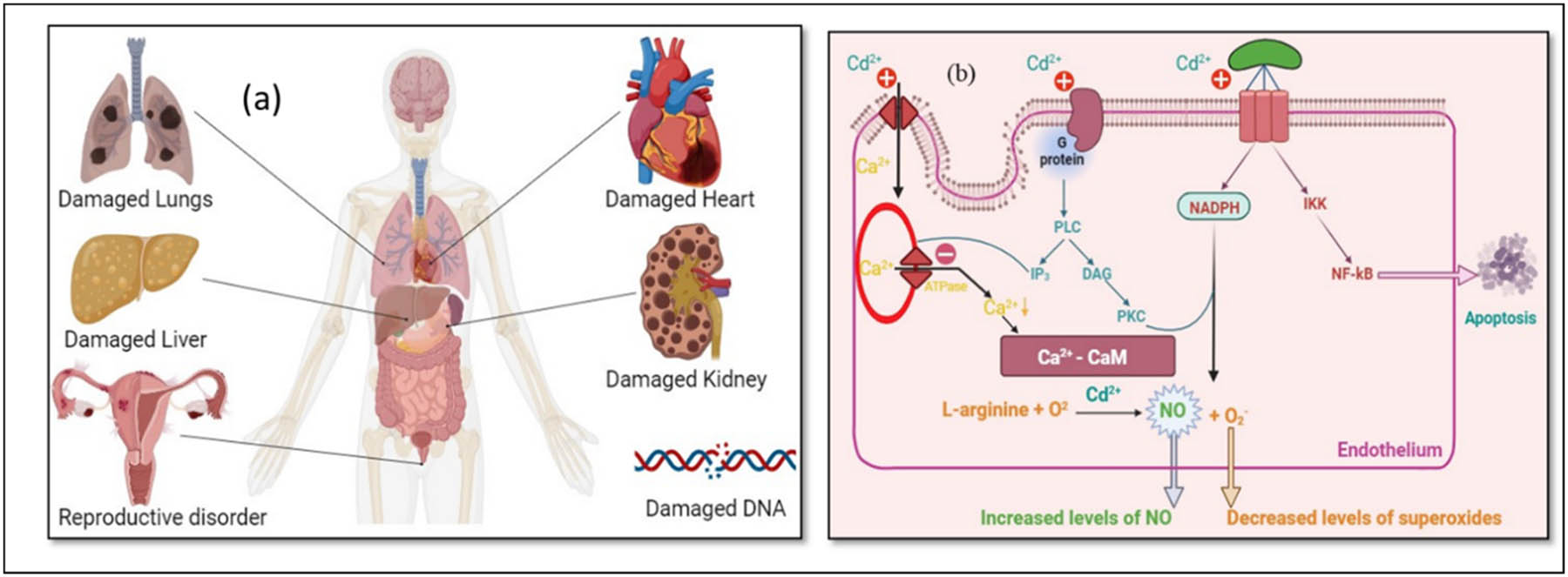 Teaser image from the article