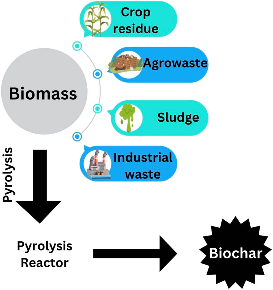Figure 4
Synthesis of biochar by the pyrolysis method.