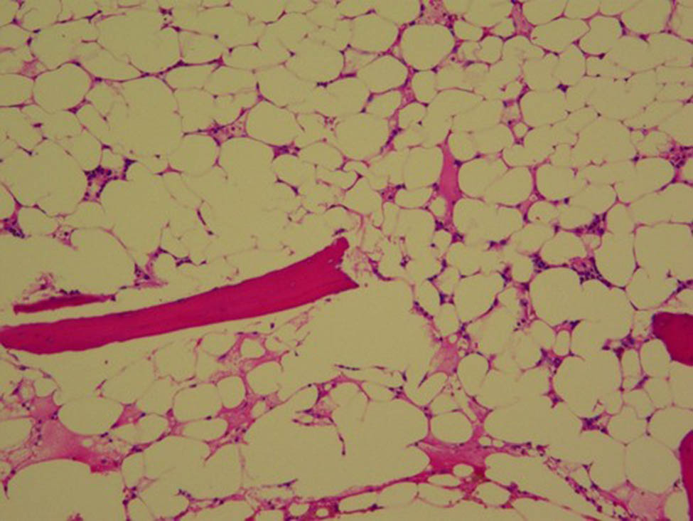 Teaser image from the article