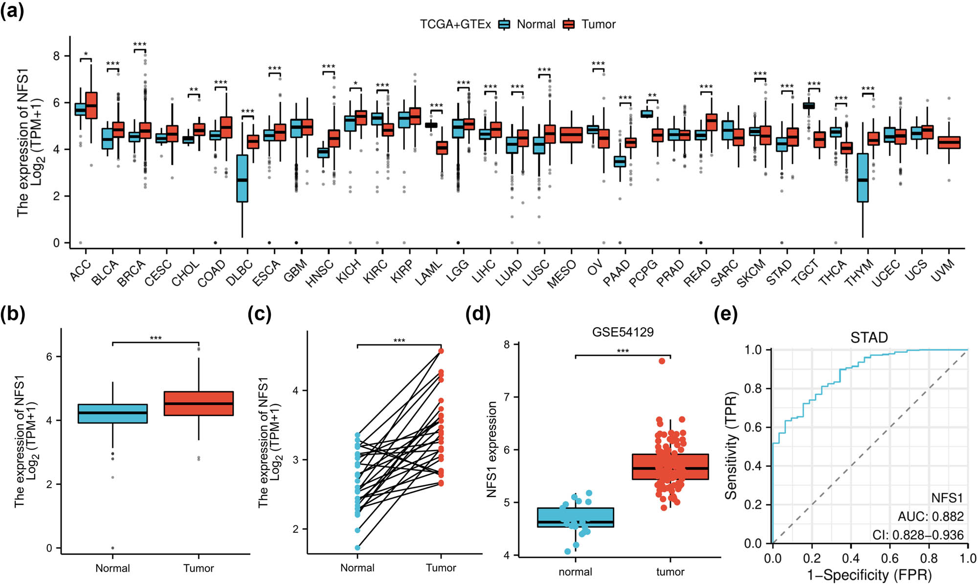 Teaser image from the article